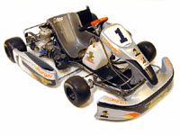 Margay Brava 1.4 Race Kart