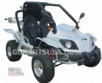 FREE SHIPPING. 250cc, CVT Trans with Reverse,  Shaft Drive