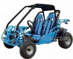 FREE SHIPPING. Full-suspension, 19.5hp, 250cc electric start, Water Cooled, CVT Trans with Reverse,  19in.front, 22in. rear tires