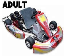 Adult Race Karts
