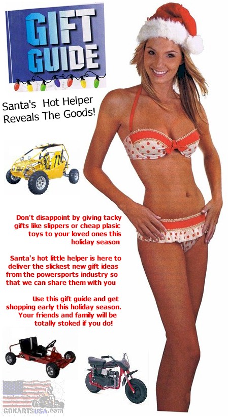 santa's hot little helper reveals her goodies below