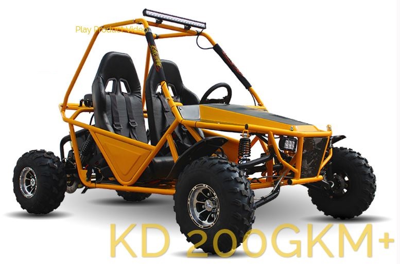 200cc off road buggy