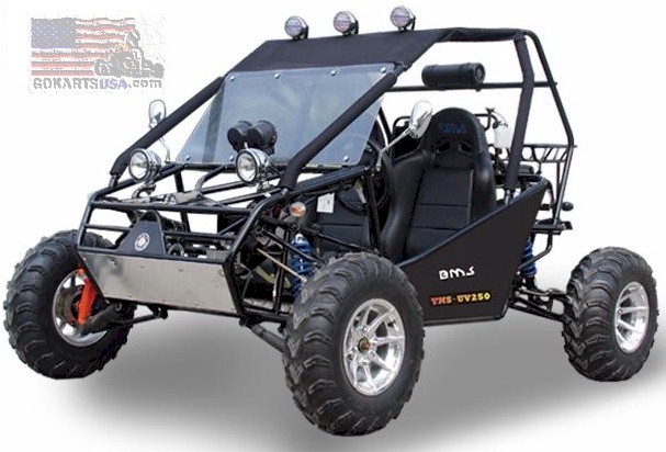 bms buggy for sale