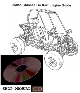 MRP Buggy Manual Repair Guide CN250 / CF250 MRP Buggy Manual Repair Guide CN250 / CF250