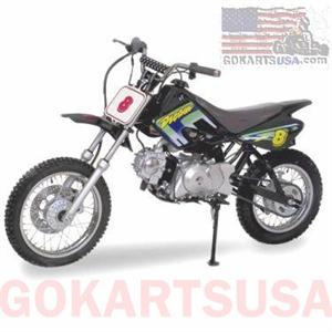 Dream 100F Mini Dirt Bike