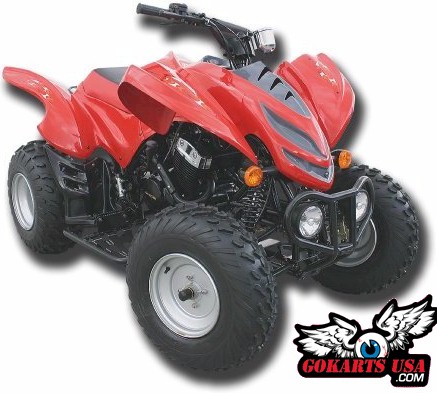 ATV-24 250cc Adult ATV