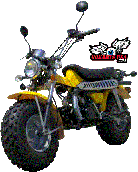 TREX 125 Motorcycle