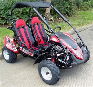 TrailMaster Blazer 200R Buggy Gokart TrailMaster Blazer 200R Buggy Gokart