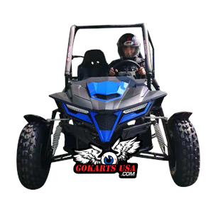 Trailmaster Cheetah E Efi Go Kart Cvt Auto With Reverse