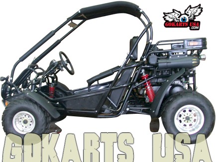 TrailMaster 300 XRX Dune Buggy