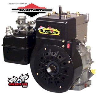 Raptor Gokart Racing Engine by Briggs & Stratton
