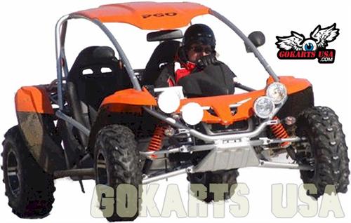 PGO BugRacer 500i : Bugracer