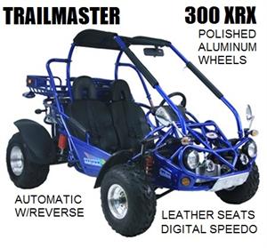 TrailMaster 300 XRX Dune Buggy