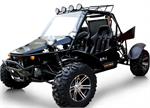 BMS 800cc V-Twin 4WD Buggy