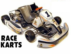 Road Rar Racer Race Kart Gokarts