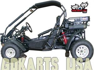 TrailMaster 300 XRX Dune Buggy