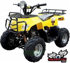 ATV BMS Mini Utility 125