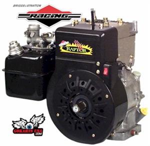 Race Motors  Sale on Raptor Gokart Racing Engine By Briggs Stratton New Year Sale