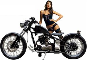 the Heist Bobber 250