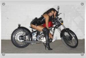 click to see the Heist Bobber 250