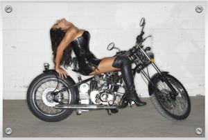 click to see the Heist Bobber 250