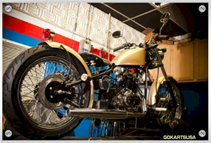 click to order The Heist Bobber 250