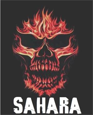 Kinroad Sahara Flaming Skull Decal
