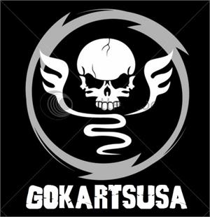 Skull and Wings Decal