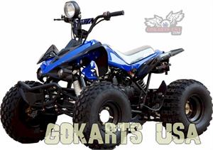 ATV BMS Sport 110