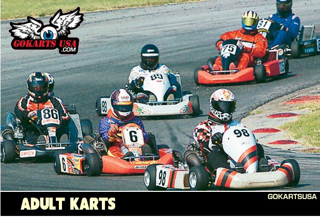 Adult Karts