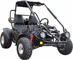 TrailMaster Buggies and Gokarts