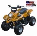 90XR Mini ATV Automatic, Electric Start, Youth